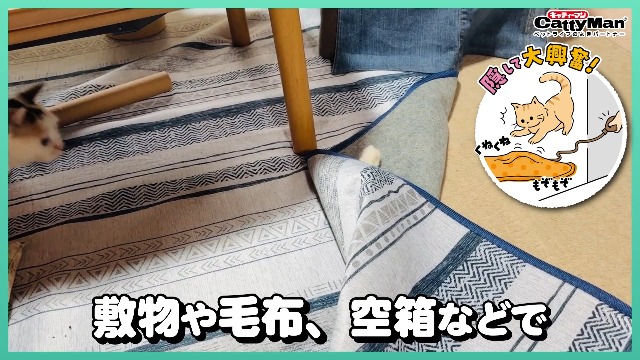 じゃれねこ『5月イベ☆11ラッキーセット』 Paradox Live パラねこ シャカシャカパーツ Ver.2 – GCRESTORE